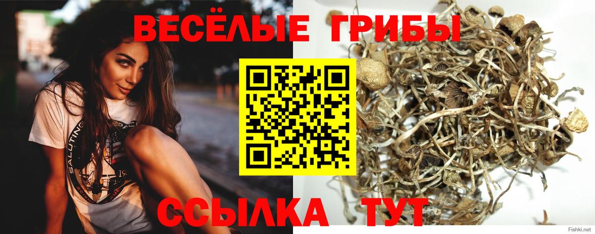 Галлюциногенные грибы Psilocybine cubensis  Вход с VPN  Псилоцибиновые грибы MAGIC MUSHROOMS  Фурманов 